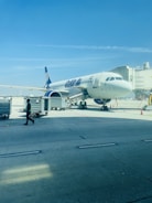 Ground handling staff managing luggage at the terminal.