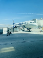 Ground handling staff managing luggage at the terminal.