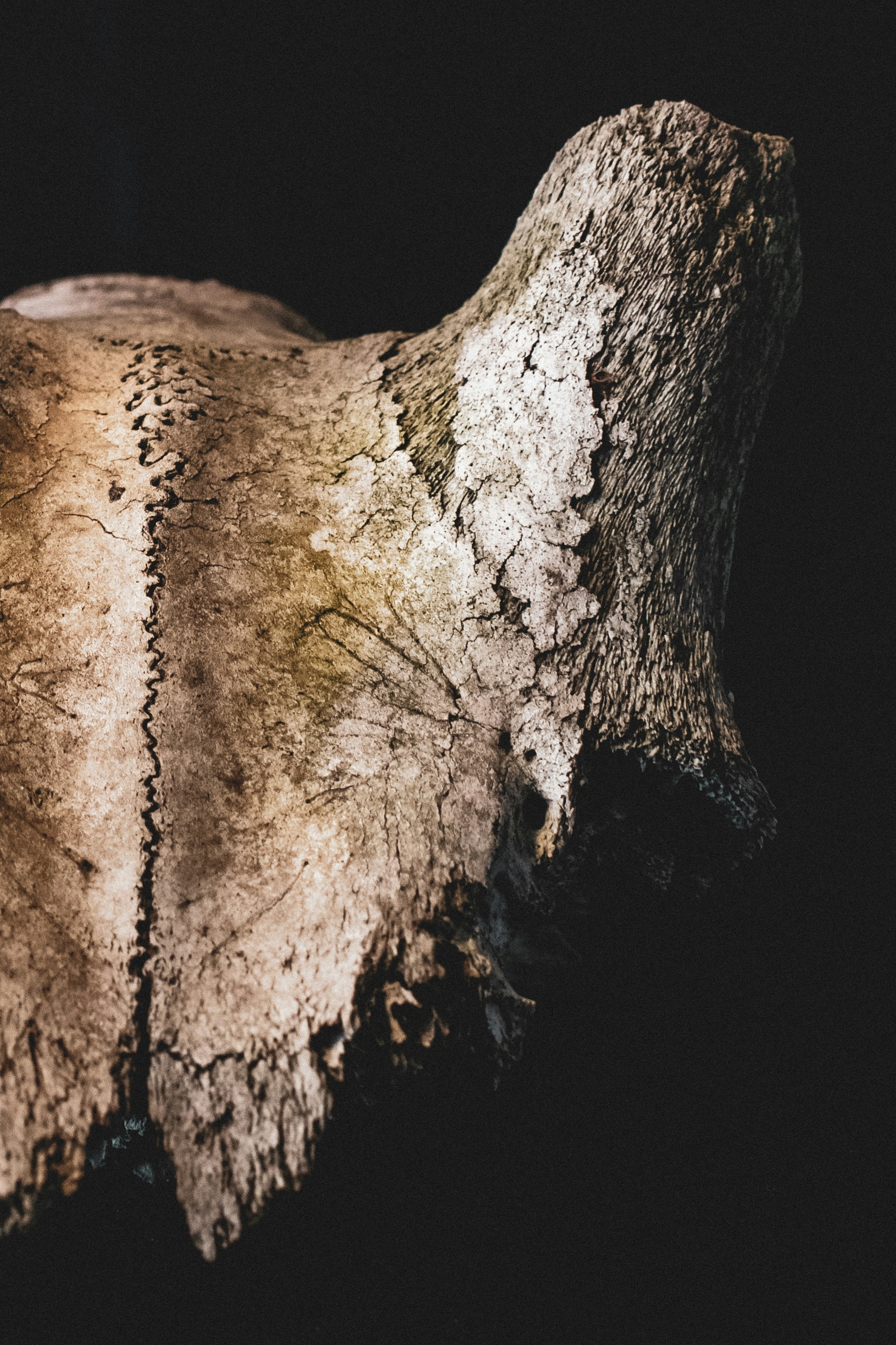 Photo by margagreta_96