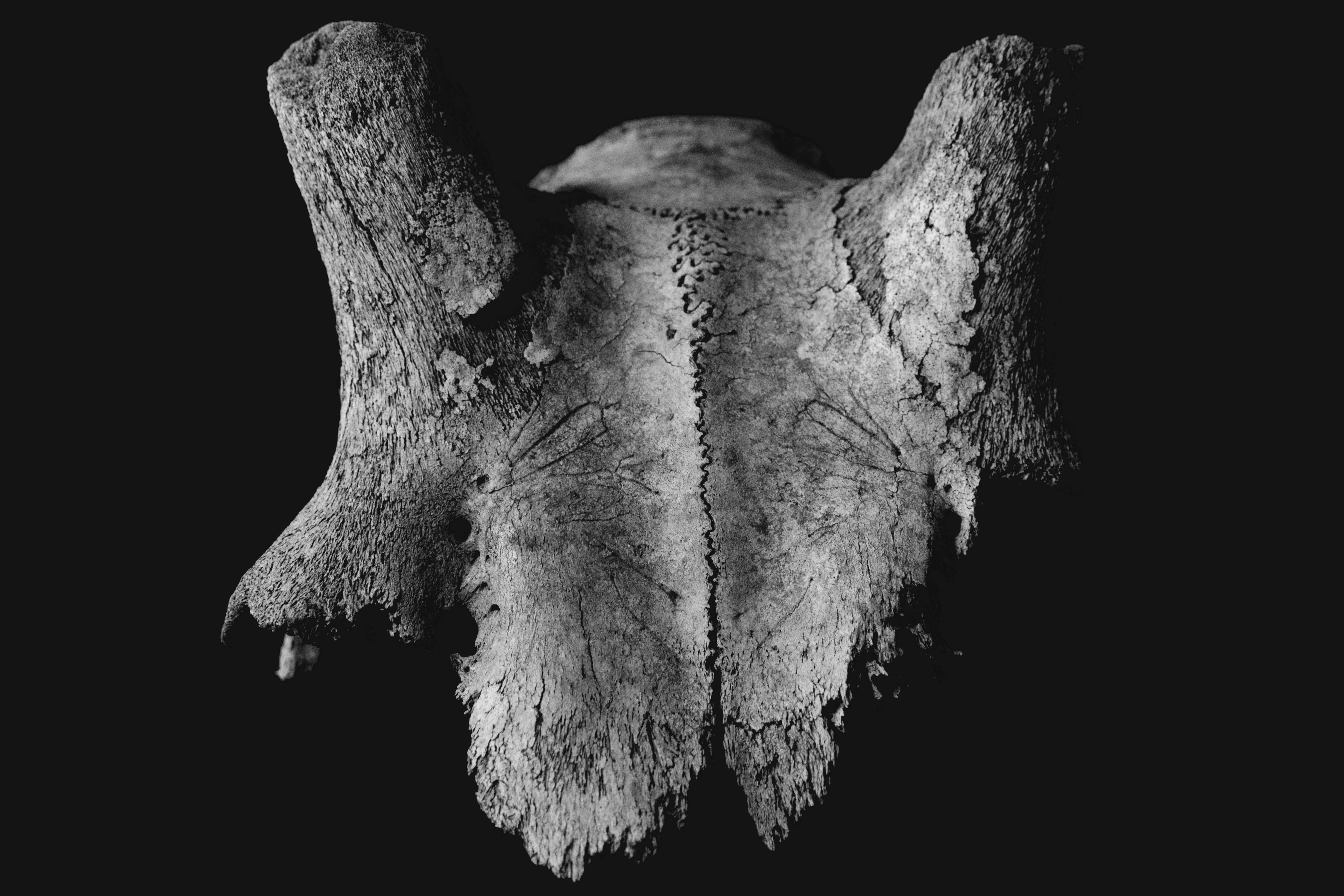 Photo by margagreta_96