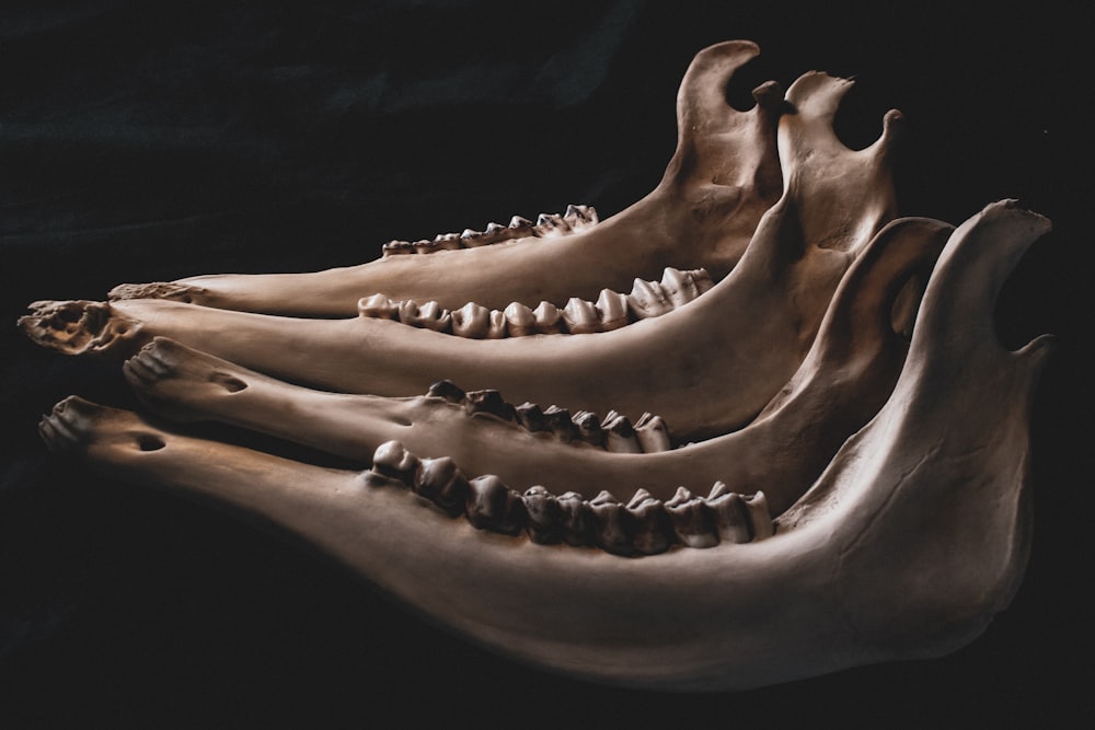 a close up of three fake teeth on a black background