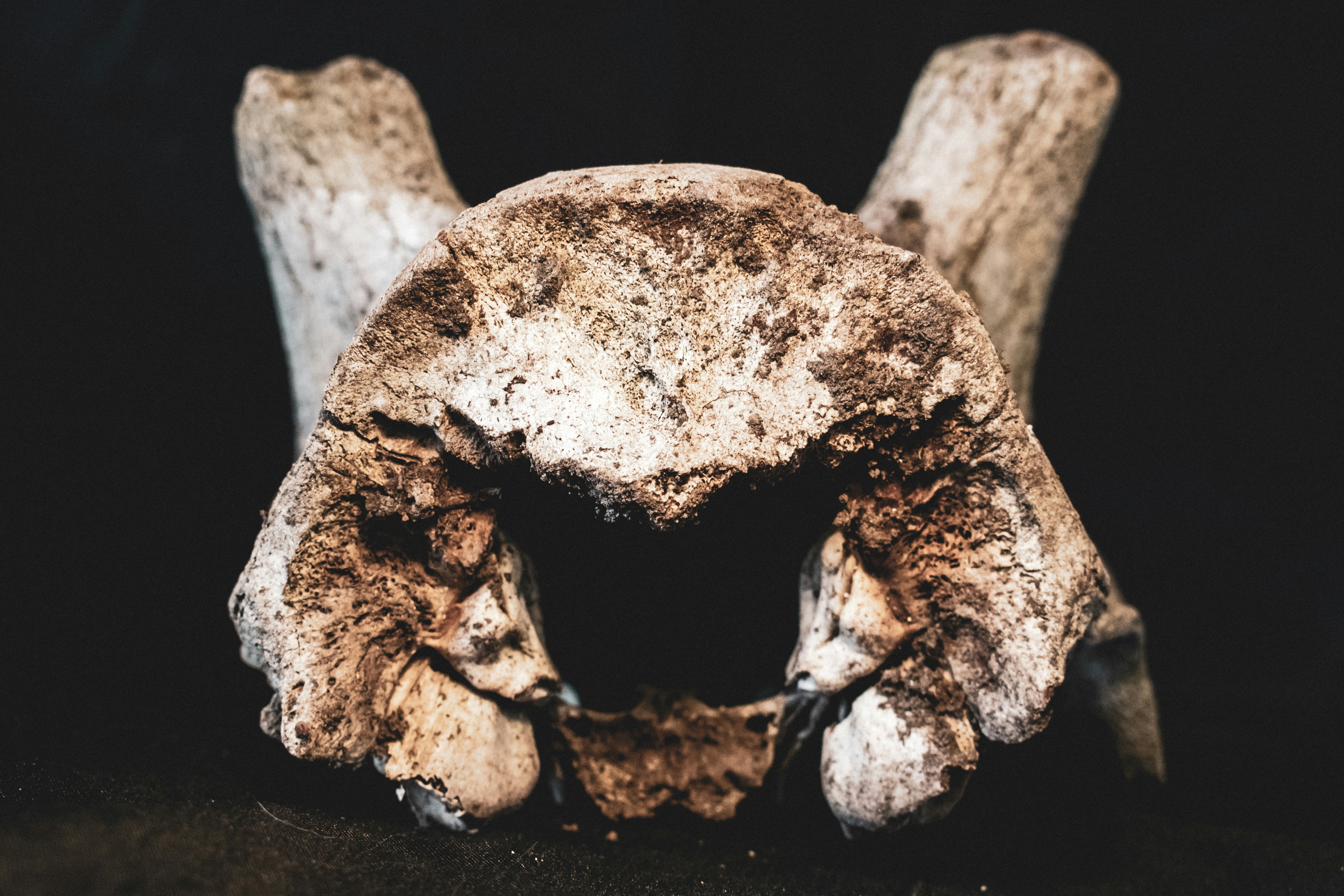 Photo by margagreta_96