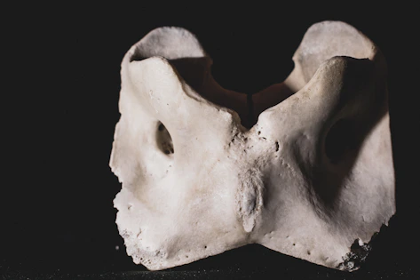 Illustration showing healthy bone structure contrasted with osteoporotic bone.