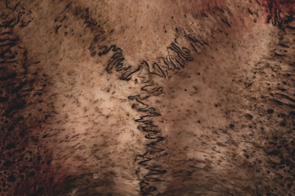 a close up of the skin of a horse