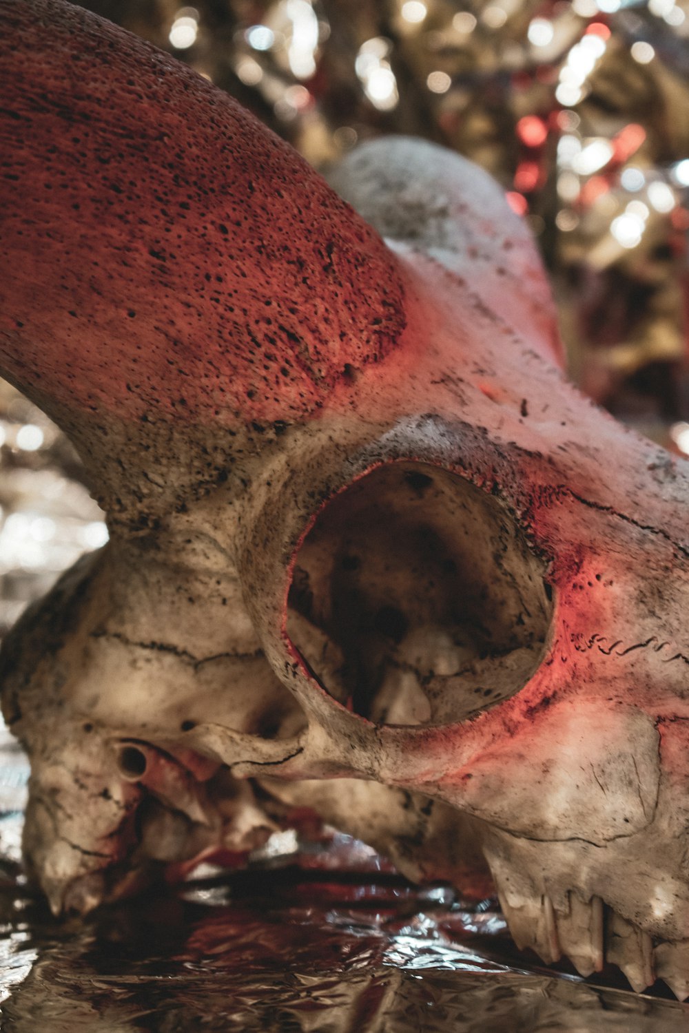 a close up of a fake animal skull on a table