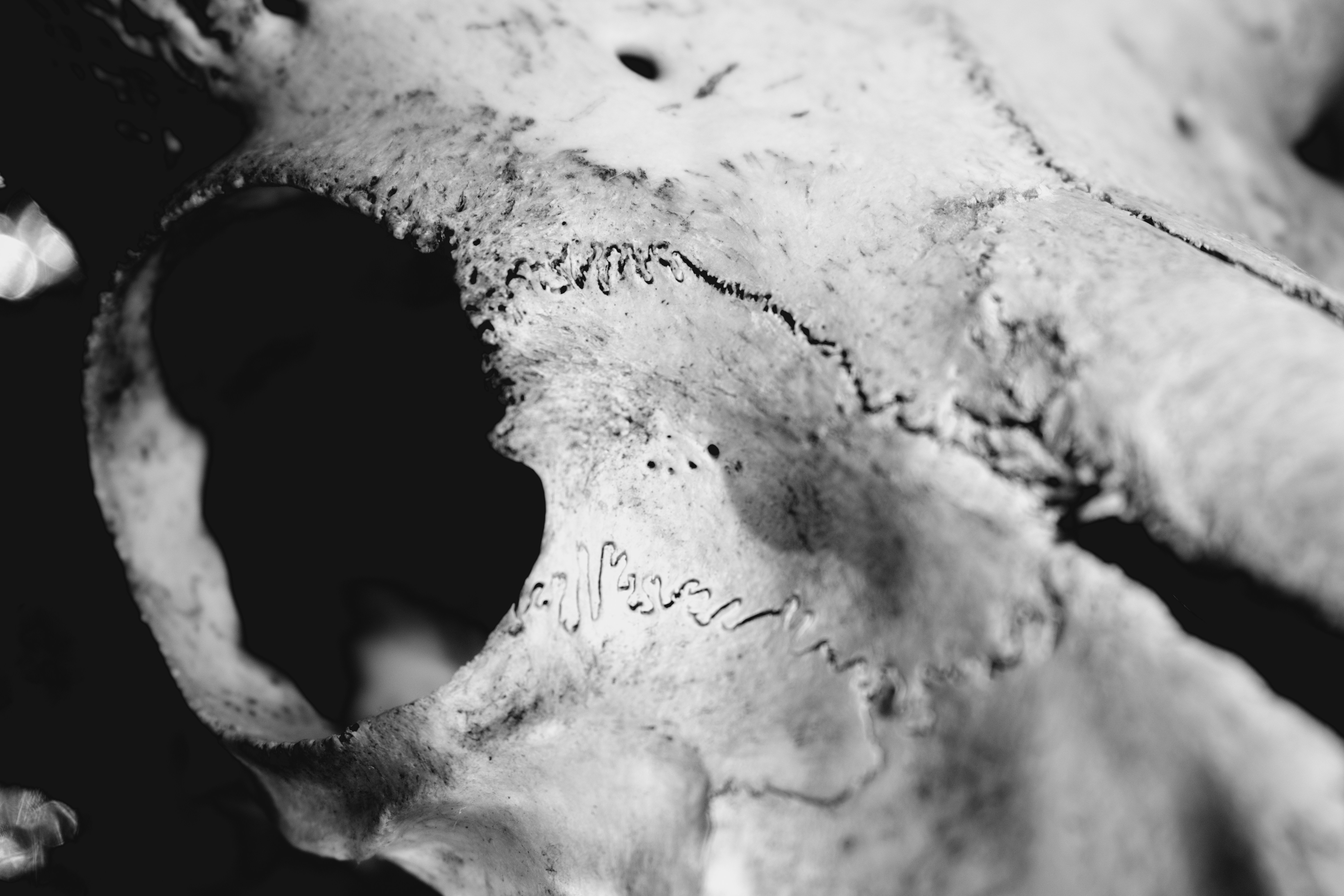 Photo by margagreta_96