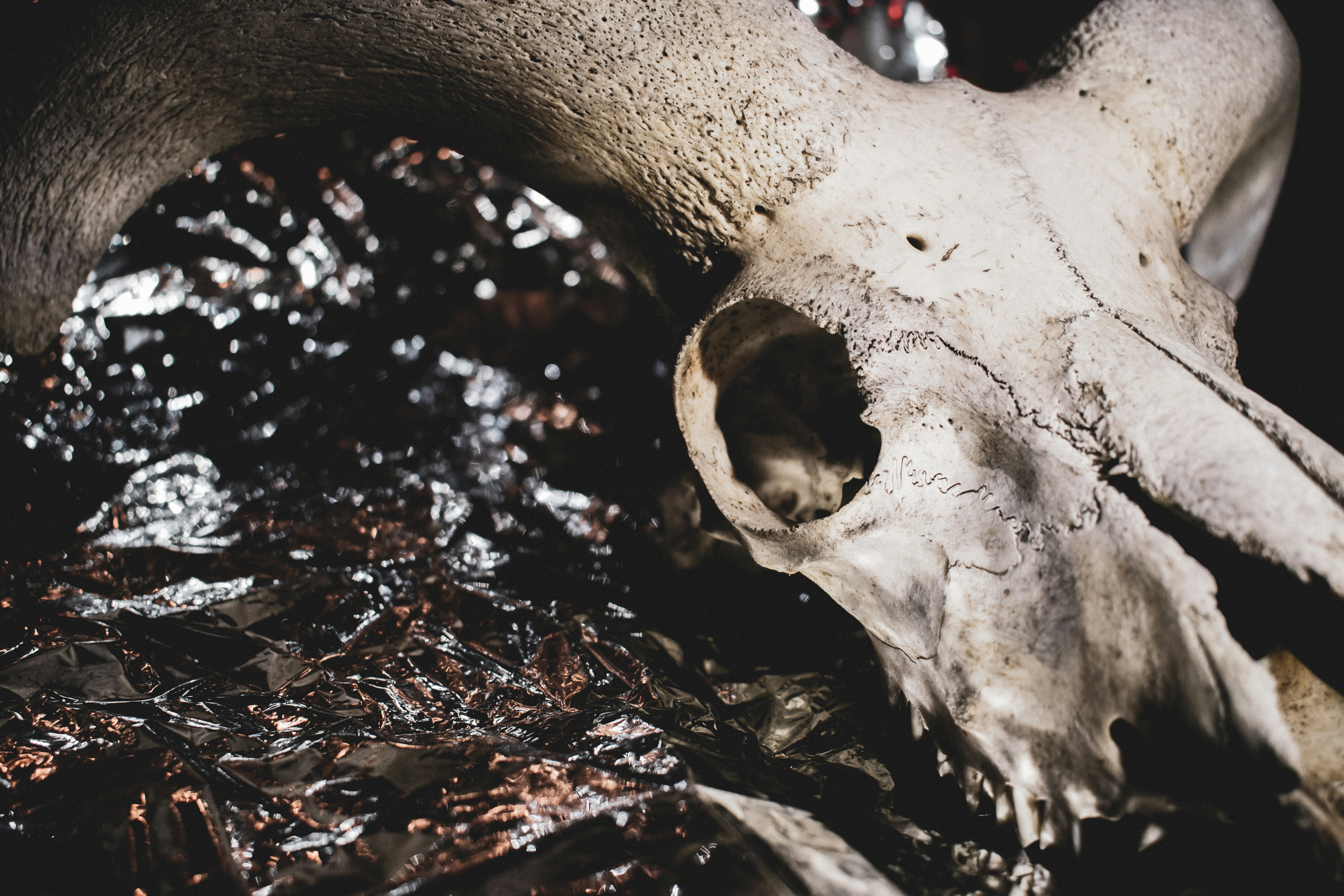 Photo by margagreta_96