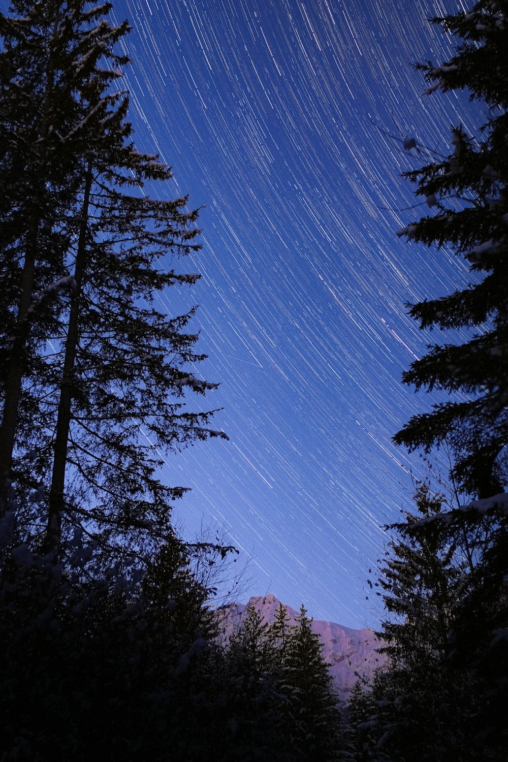the night sky with a star trail in the distance