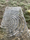 Close-up of a wooden log, showcasing visible annual growth rings and a light frost or ice crystals covering the surface. The log is positioned at an angle, with a blurred grassy background providing contrast to the textured wood.