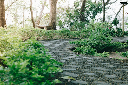 A serene backyard garden with a stone pathway and lush greenery under soft sunlight