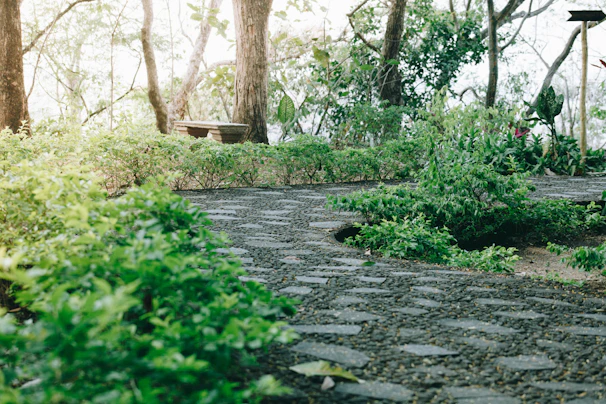 A serene garden path bathed in soft sunlight, with blooming flowers and a quiet bench inviting reflection.