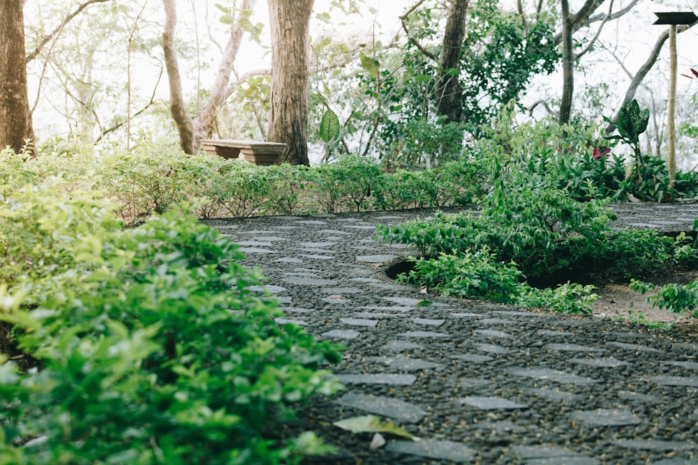 a stone path in a park with trees in the background