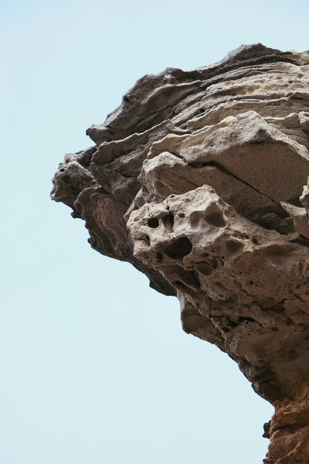 a bird is perched on a rock face