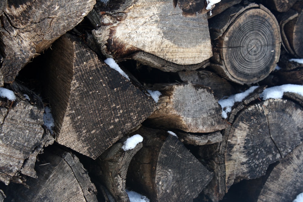 a pile of cut logs with snow on them