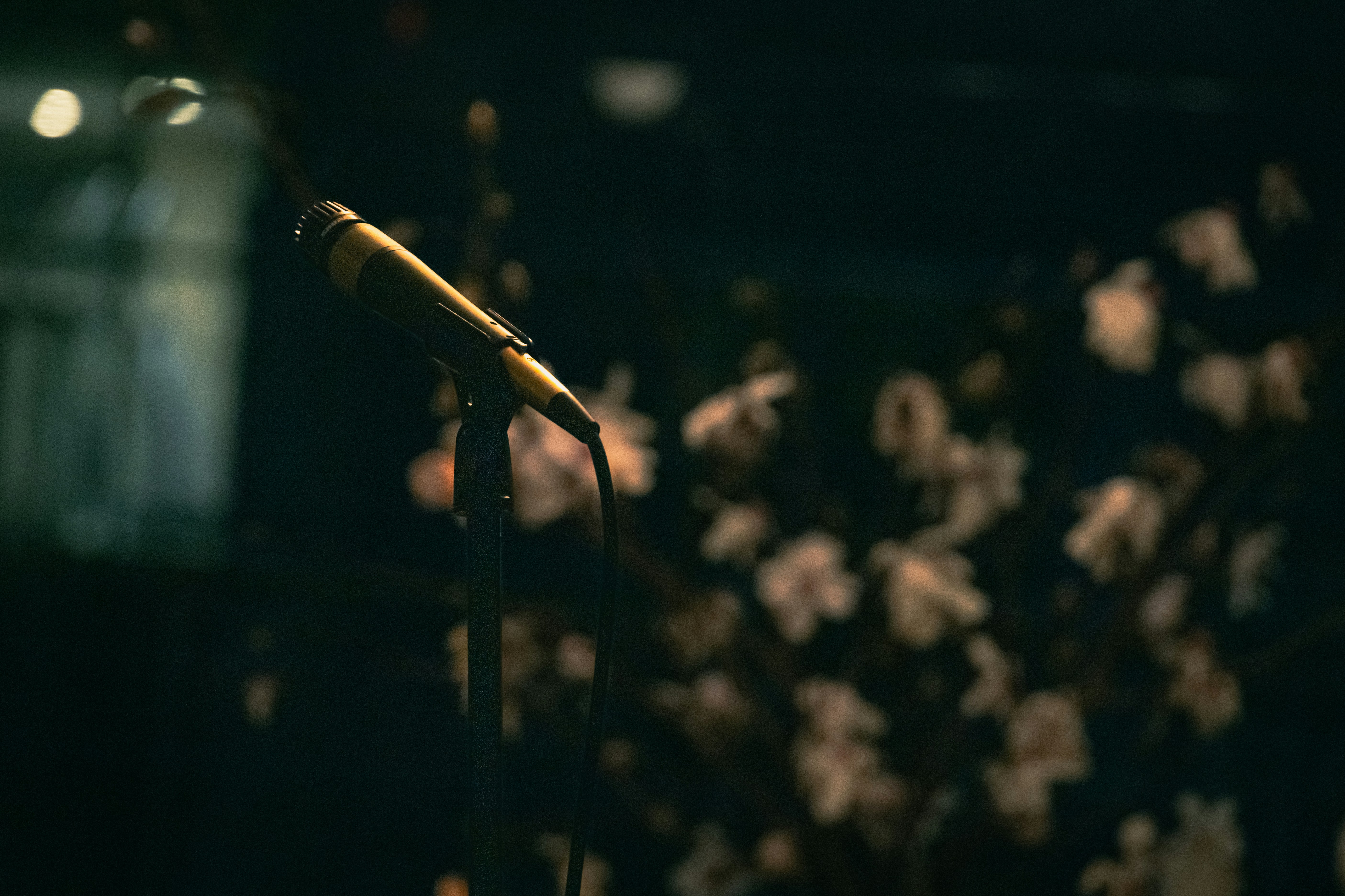 Photo by hanyangzhang