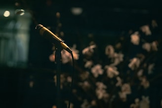 a microphone that is sitting in front of a microphone