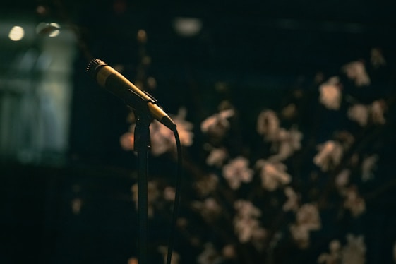 a microphone that is sitting in front of a microphone