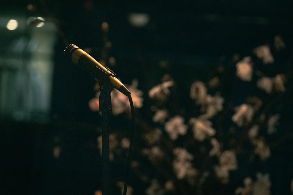 a microphone that is sitting in front of a microphone