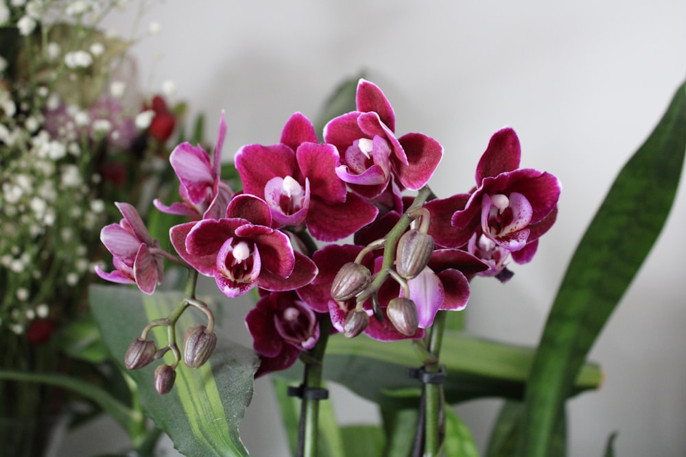 a close up of a bunch of flowers in a vase