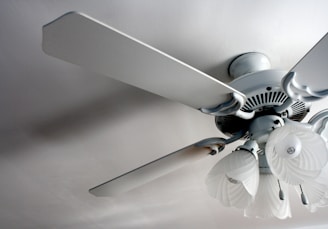 Ceiling Fan install in Greensboro, NC