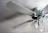 A close-up view of a ceiling fan with four blades and attached light fixtures. The fan and light fixtures are white, with the light fixtures having a floral, frosted glass design. Two pull chains hang from the light fixture. The fan is mounted on a smooth ceiling, casting subtle shadows.