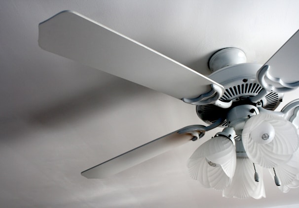 A close-up view of a ceiling fan with four blades and attached light fixtures. The fan and light fixtures are white, with the light fixtures having a floral, frosted glass design. Two pull chains hang from the light fixture. The fan is mounted on a smooth ceiling, casting subtle shadows.