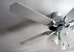 Bright Kitchen Fan