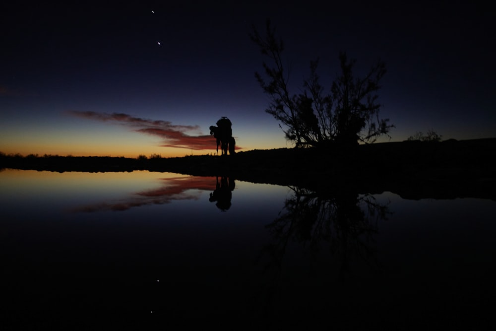 a person standing on the shore of a lake at night