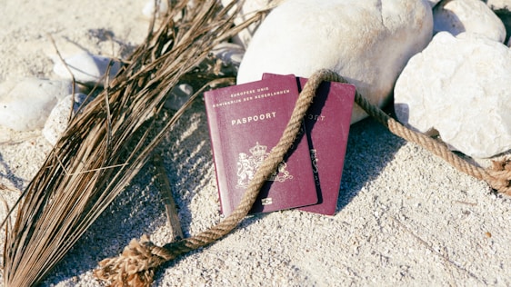 Two dark red passports are placed on a sandy surface surrounded by large white rocks and dry palm leaves. A thick, textured rope winds around the passports, creating a natural and rugged backdrop.