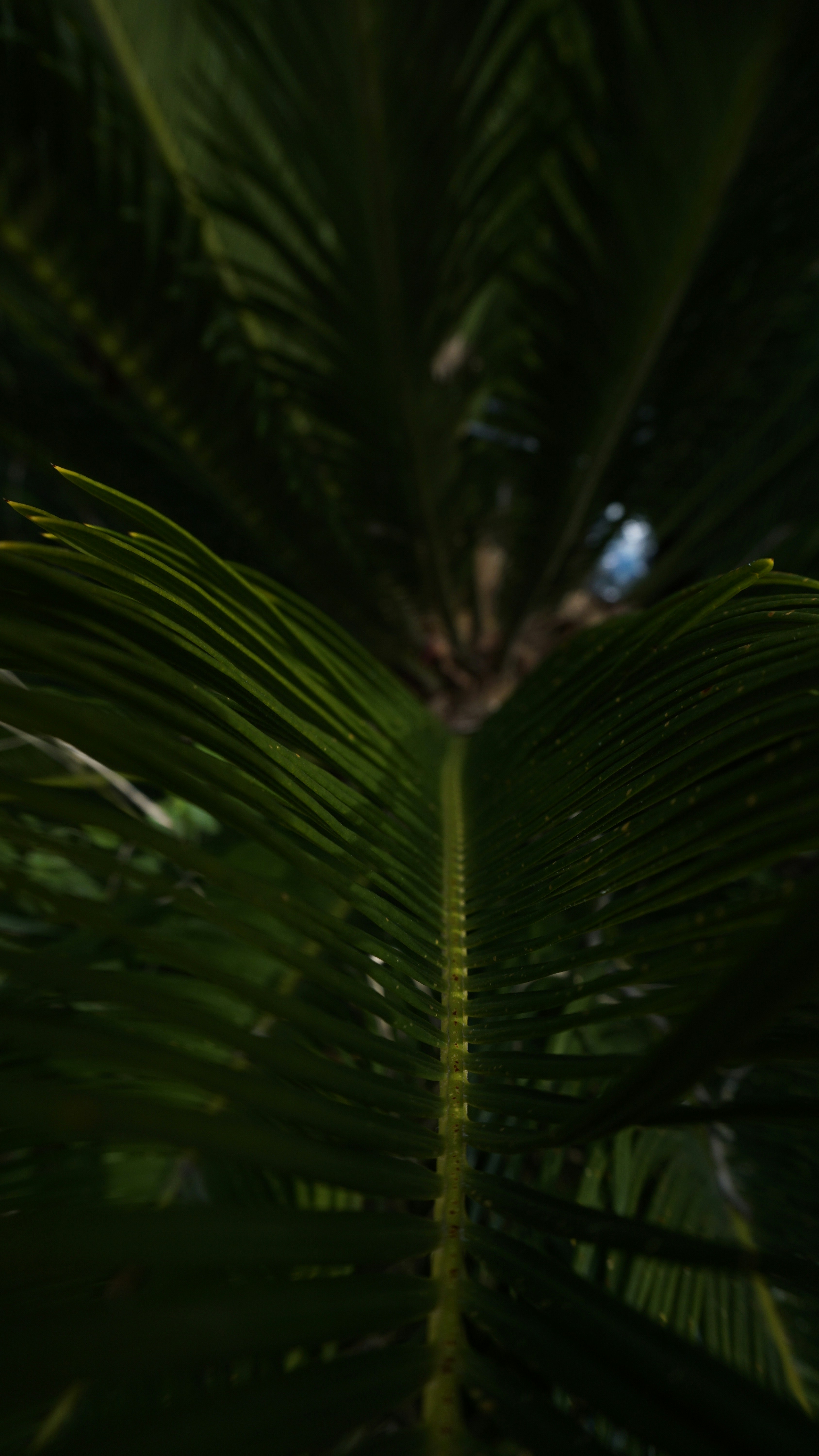 Photo by hardialsingh