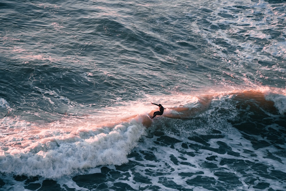 바다에서 파도를 타고 서핑 보드를 타는 사람