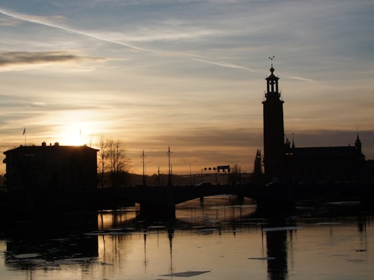 The image captures a cityscape at sunset with a prominent silhouette of a tall tower and a surrounding urban skyline. The water reflects the golden hues of the sky, creating a serene and peaceful atmosphere.