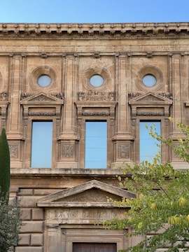 A classical architectural facade featuring ornate stonework with circular and rectangular windows framed by detailed reliefs. The browning stone surfaces echo historic design elements. Green foliage protrudes from the bottom right corner, adding contrast to the stone structure.