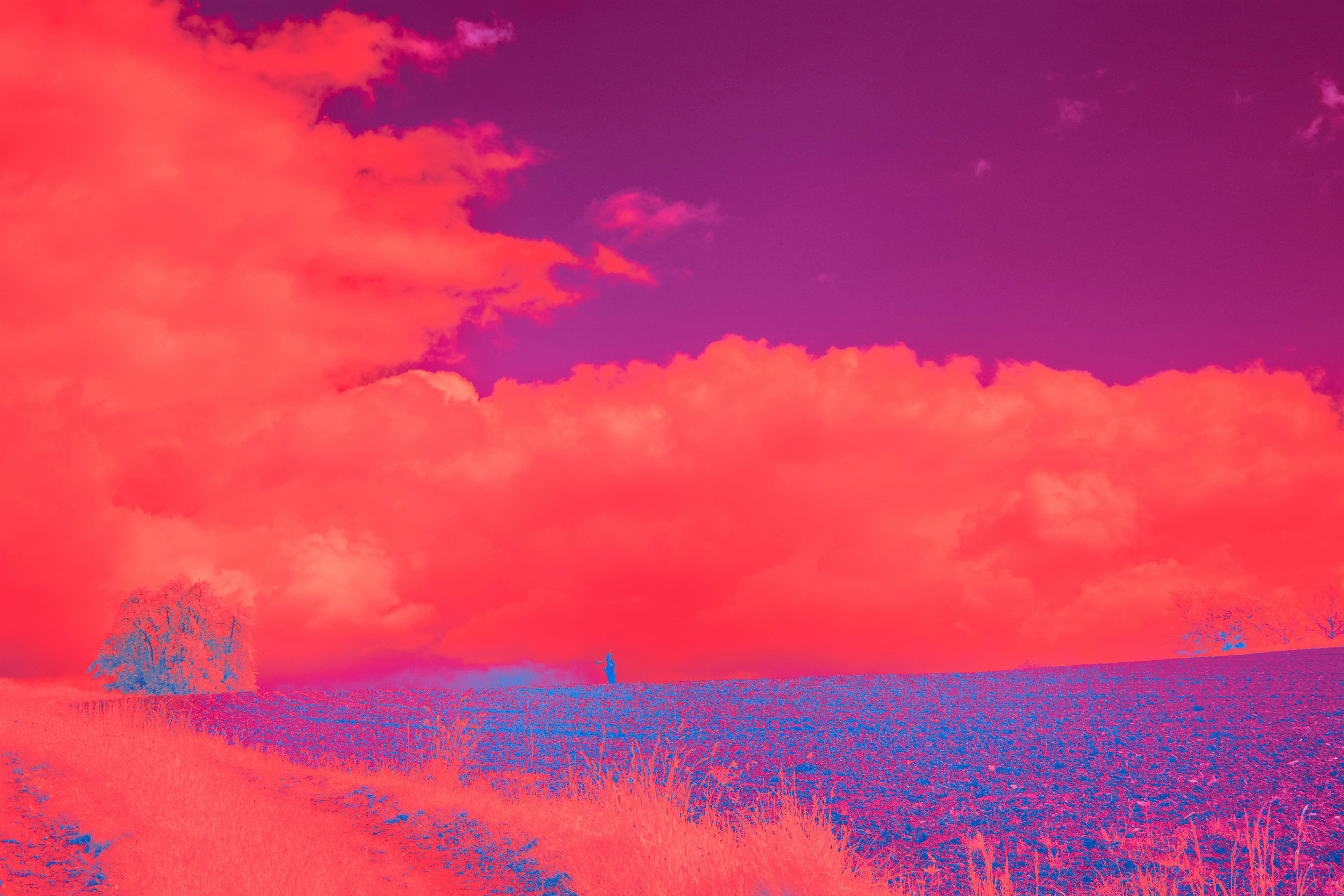 Photo by wolfgang_hasselmann