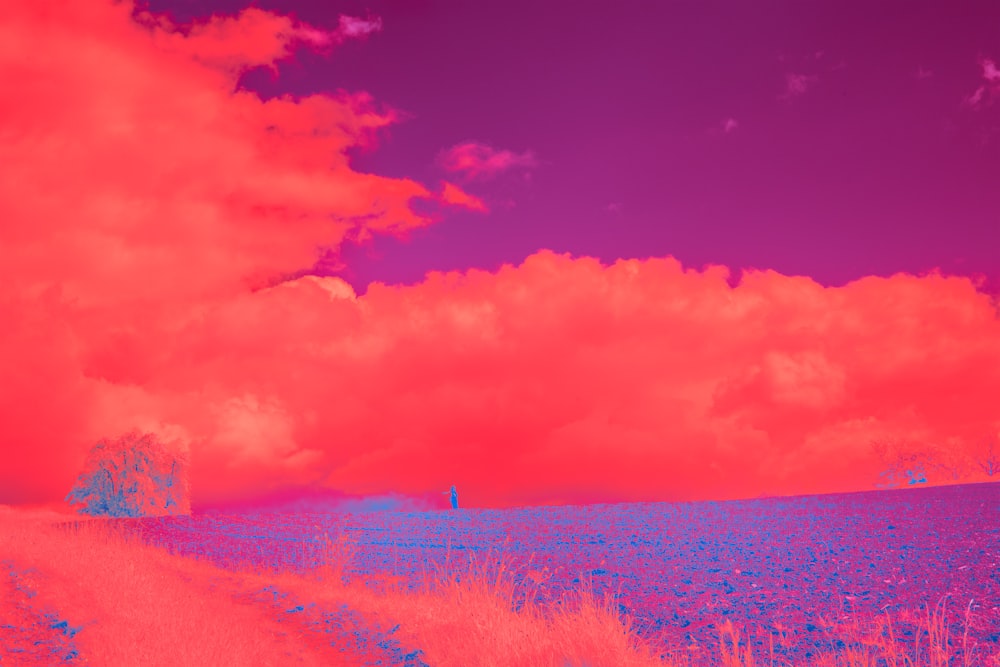 a red and blue sky with clouds over a field