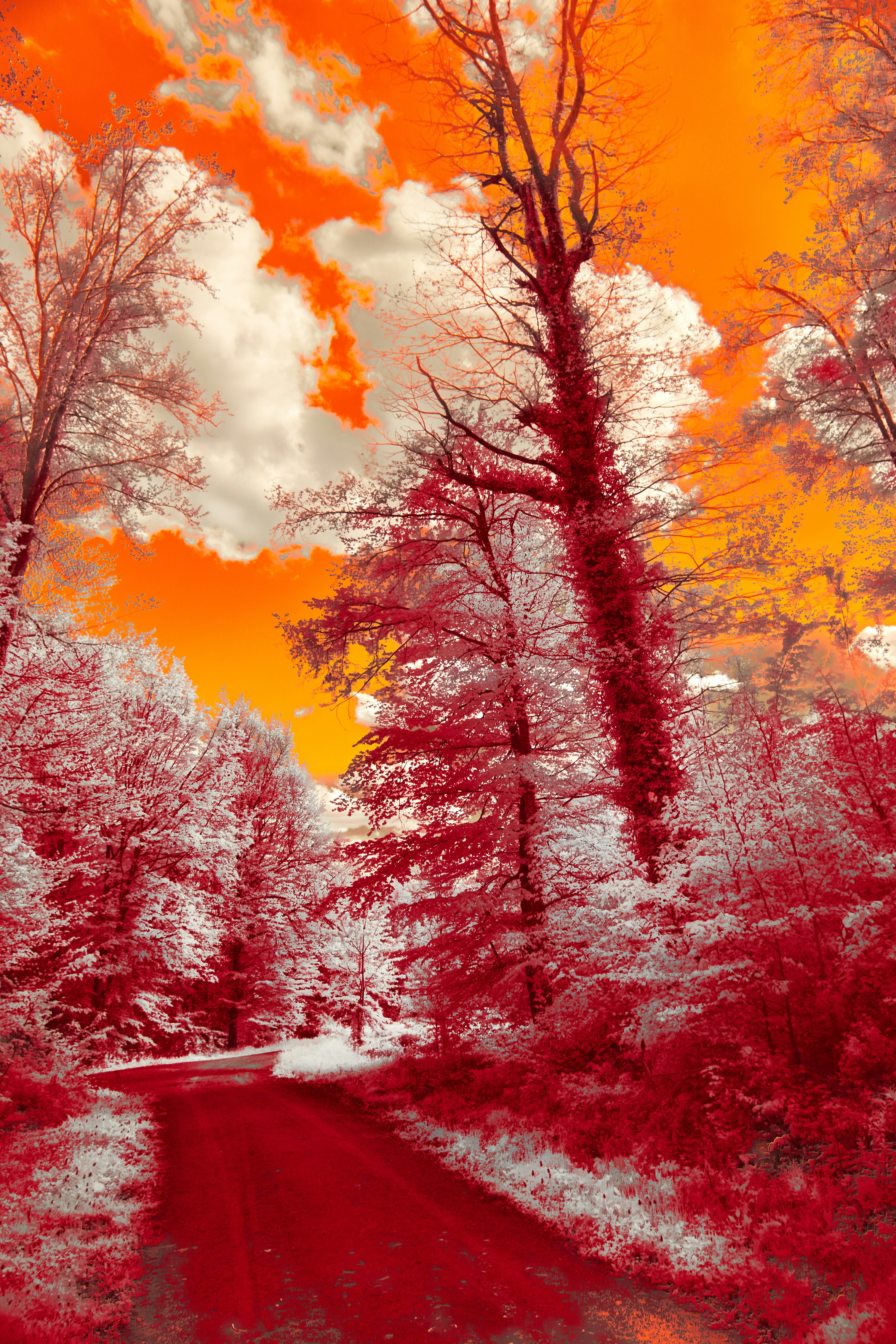 Photo by wolfgang_hasselmann