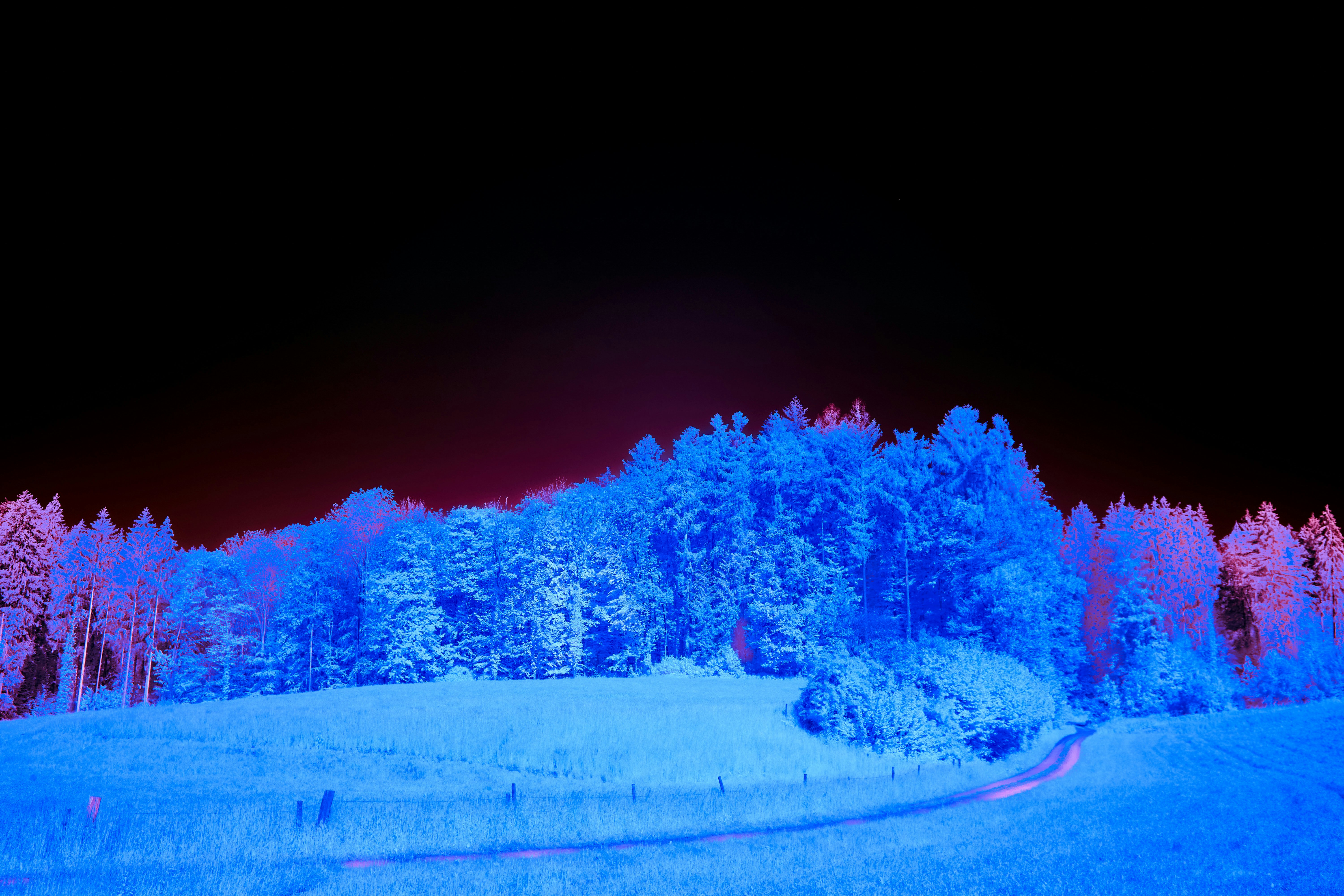 Photo by wolfgang_hasselmann