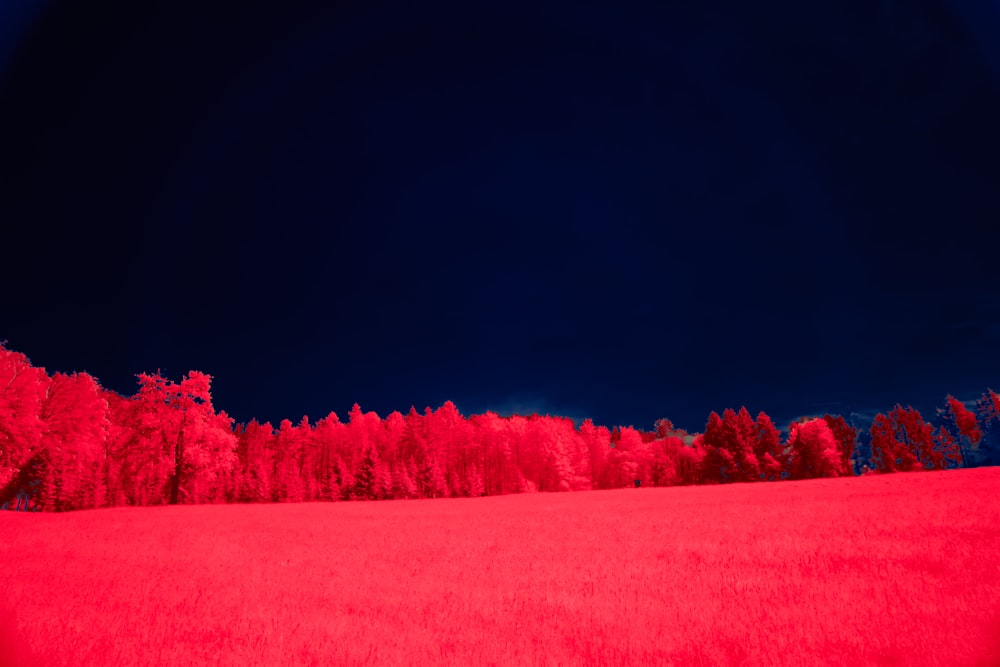 a field with trees in the background and a red light in the foreground