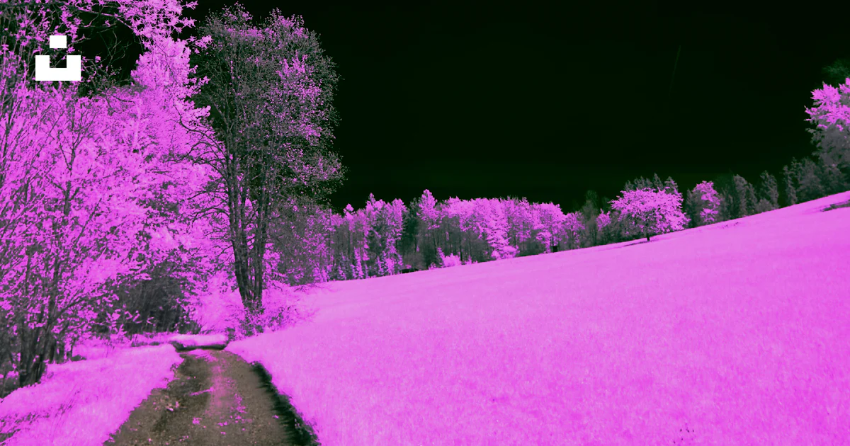 Pink Infrared A pink infrared image of a path in a field photo – Free Purple Image on ...