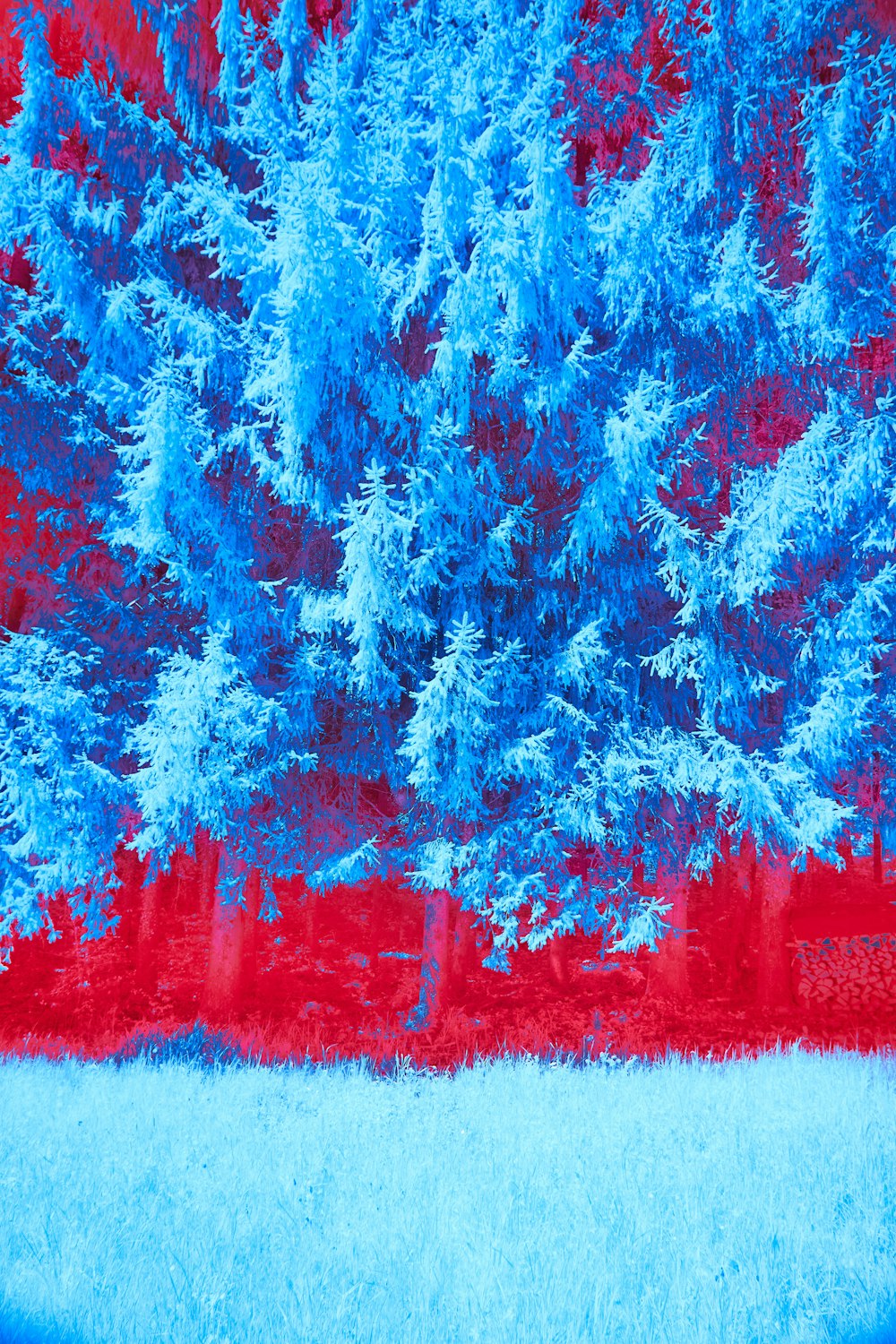 a painting of blue trees against a red background