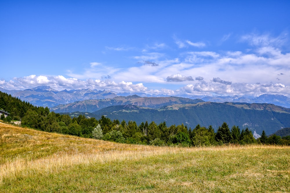 a grassy field with mountains in the background