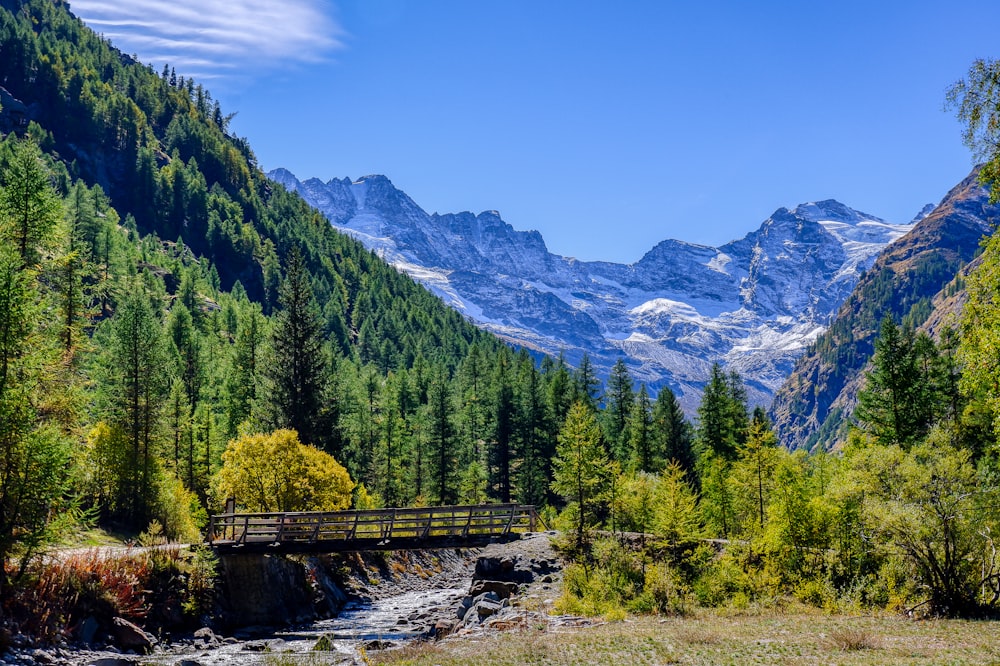 a wooden bridge over a small stream in the mountains