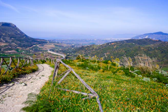 A panoramic view of rolling hills with a dirt path cutting through wildflowers.