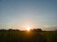 A peaceful sunset over the land, highlighting the harmony between technology and nature.