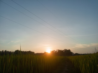 A peaceful sunset over the land, highlighting the harmony between technology and nature.