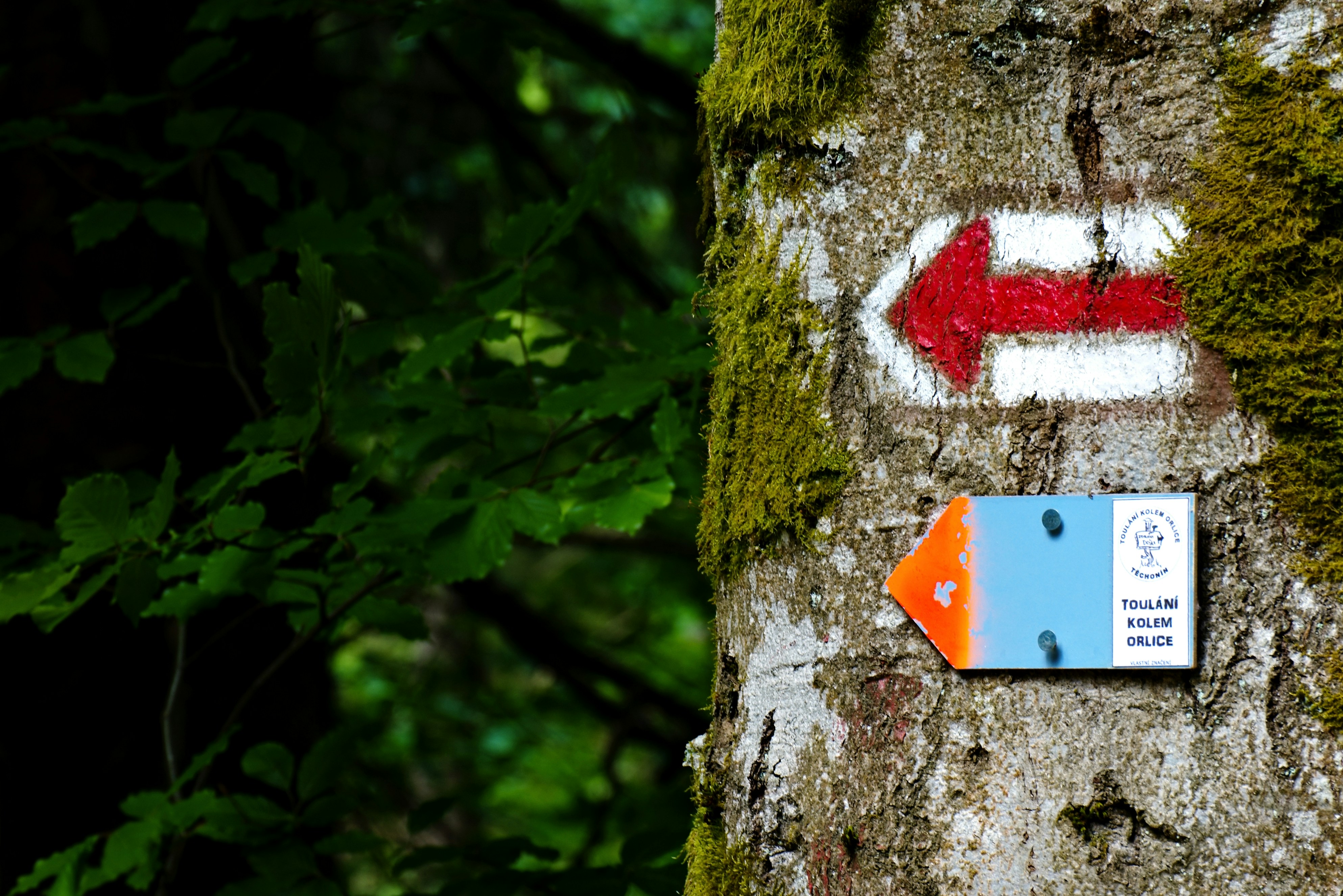 Photo by petr_omasta