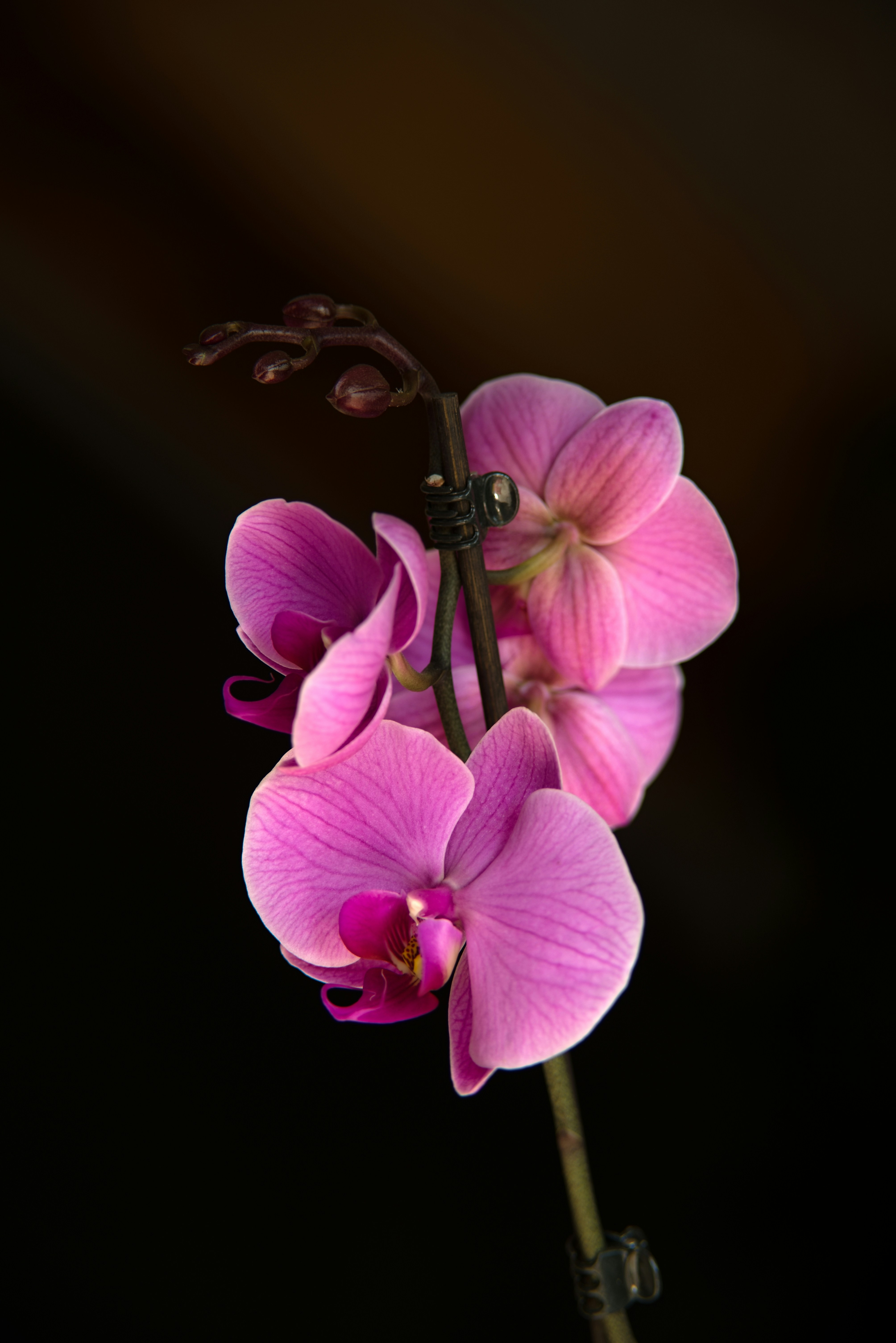 Photo by petr_omasta