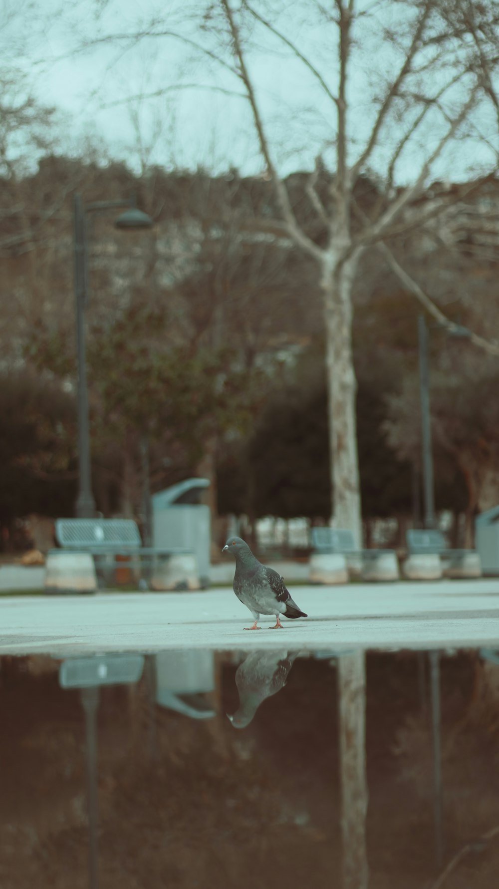 a bird is sitting on the edge of a pool