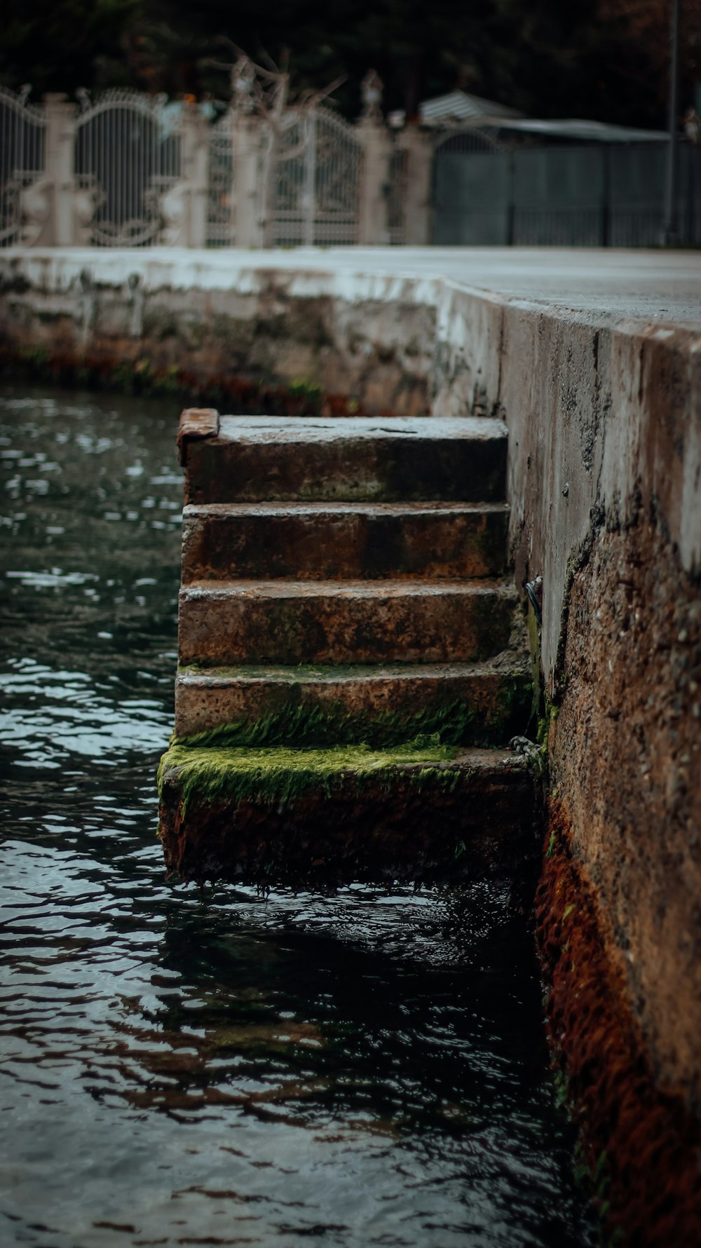 a set of steps leading to a body of water