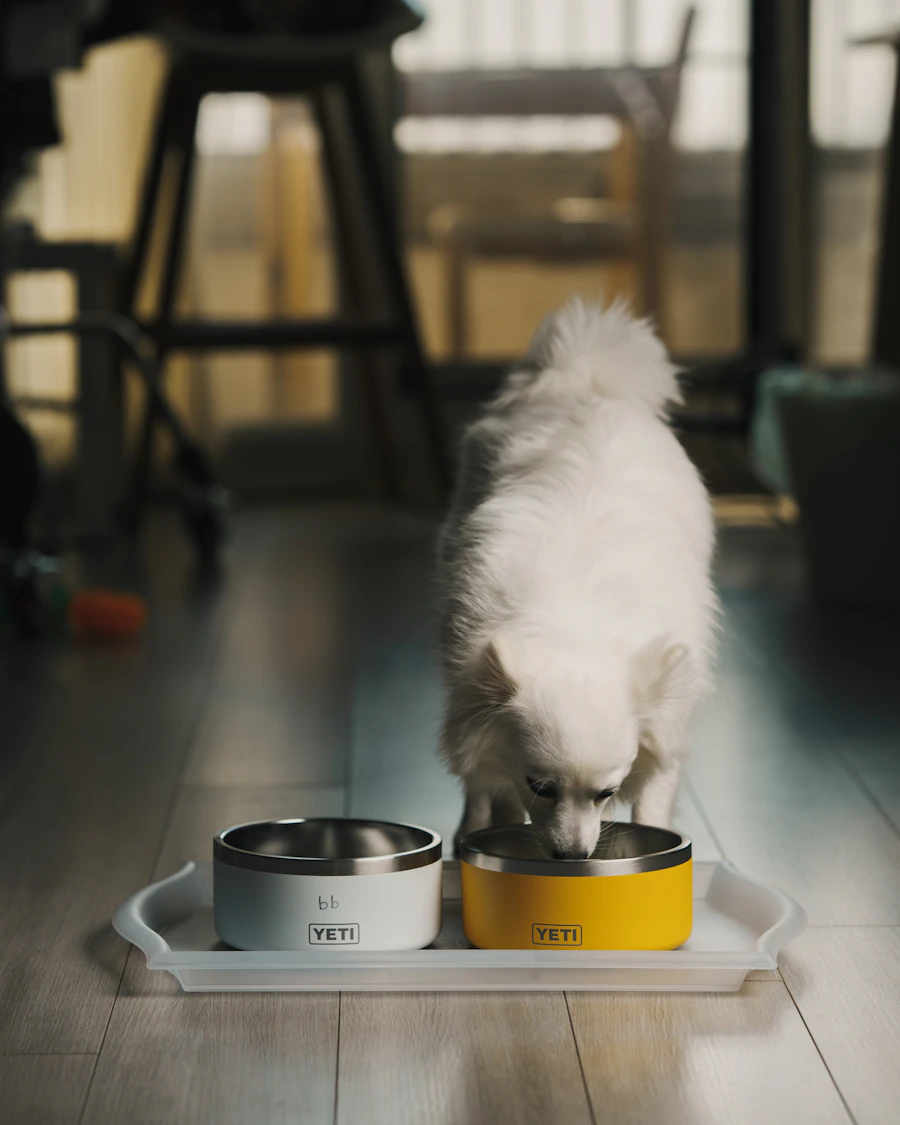 Wet Dog Food – 12 × 400 g